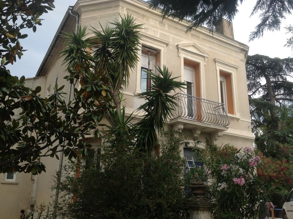 A L'Ombre Du Cedre Hotell Hyères Eksteriør bilde