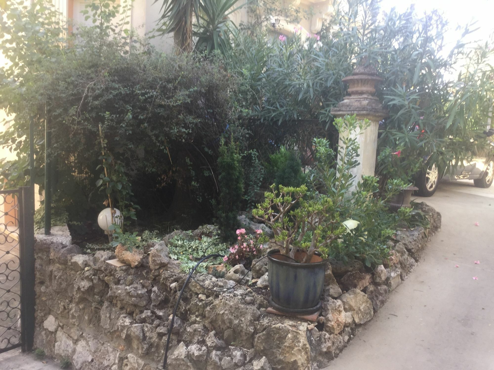 A L'Ombre Du Cedre Hotell Hyères Eksteriør bilde
